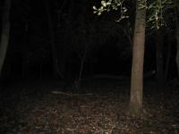 Chicago Ghost Hunters Group investigates Robinson Woods (199).JPG